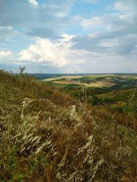 Scenic view of field against sky