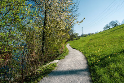 Road amidst trees against sky