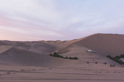 Sand dunes in desert with tourists and plants against sky