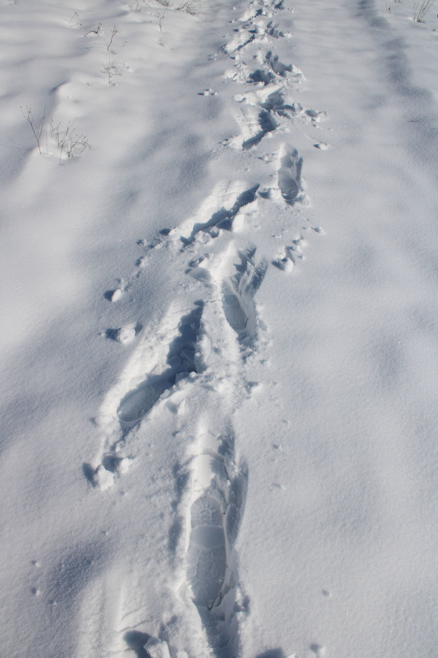 HIGH ANGLE VIEW OF FOOTPRINT ON SNOW COVERED FIELD