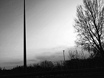 Bare trees against sky