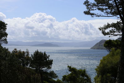 Scenic view of cloudy sky over sea