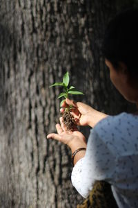 Woman holding sapling against tree trunk