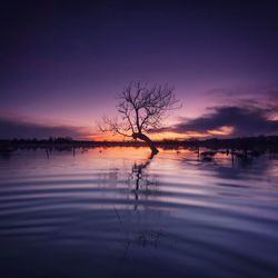 Scenic view of calm lake at sunset