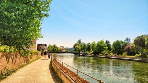 Scenic view of river amidst trees against sky