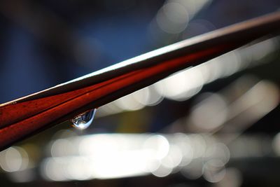 Close-up of water on leaf