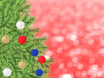 Close-up of christmas tree