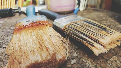 Close-up of paint brushes 