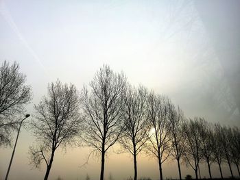 Low angle view of bare trees against sky