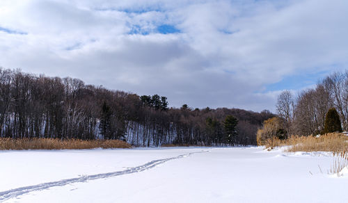 Trees on snow covered field against sky