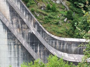 High angle view of bridge over grass by trees