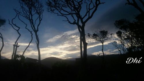 Silhouette trees on landscape against sky at sunset