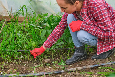 Low section of man gardening