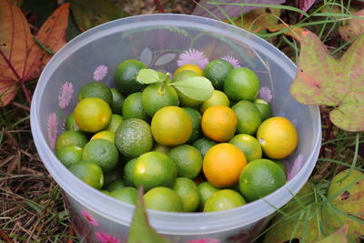 High angle view of fruits in basket