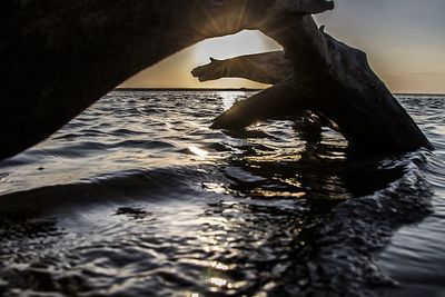 Close-up of sea against sky during sunset