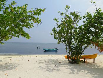 Scenic view of beach against sky