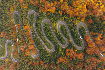 High angle view of a beautiful mountain road cutting through the colorful forest, in transylvania