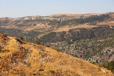 Scenic view of landscape against clear sky