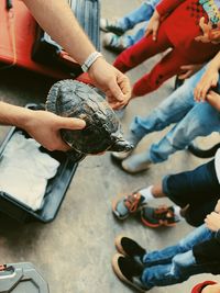 Cropped hands of person showing turtle to people while standing outdoors