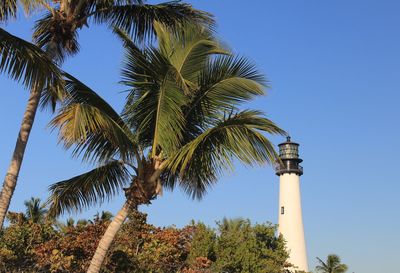 Low angle view of palm tree against sky