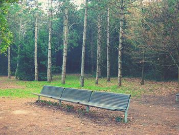 Empty bench in park