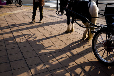 Low section of people riding motorcycle on road