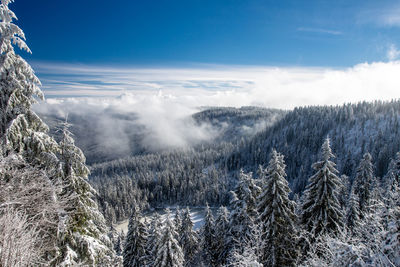 Scenic view of snow covered landscape against sky