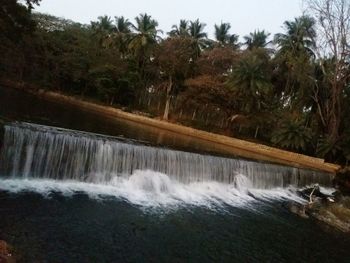 Scenic view of waterfall against trees in forest