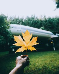 Close-up of hand holding maple leaf against sky