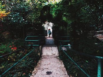 Railroad tracks amidst trees