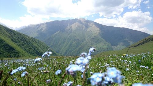 Scenic view of field and mountains against sky