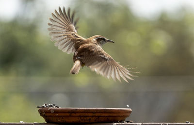 Turning in flight