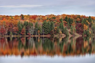 Scenic view of lake by trees during autumn