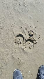 Person standing on tiled floor