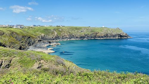 Lizard peninsula 