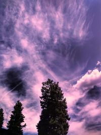 Low angle view of tree against dramatic sky