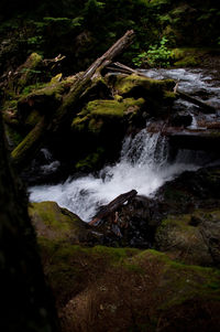 Scenic view of waterfall in forest against sky