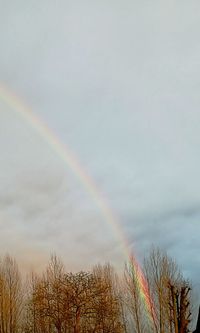 Low angle view of rainbow over trees against sky