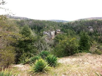 Scenic view of landscape against clear sky