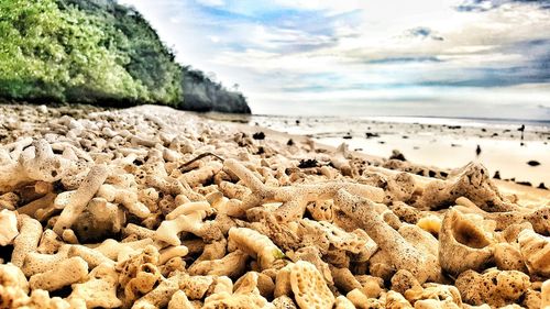 Close-up of rocks on beach against sky