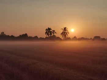 Scenic view of field against sky during sunset