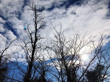 Low angle view of bare trees against blue sky