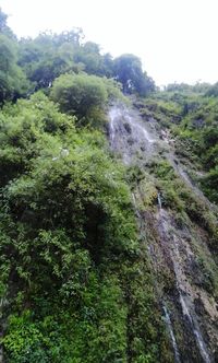 Scenic view of waterfall in forest against sky