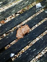 Close-up of food on wood