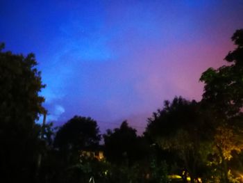 Low angle view of silhouette trees against sky at night