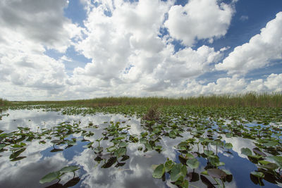 Scenic view of lake against sky