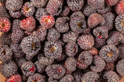 Full frame shot of blackberries