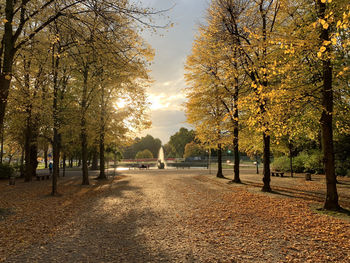 Düsseldorf autumn leaves