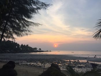 Scenic view of sea at sunset