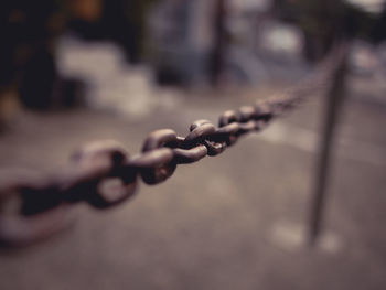 Close-up of barbed wire against blurred background